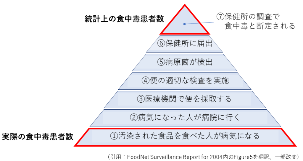 foodborne illness burden pyramid