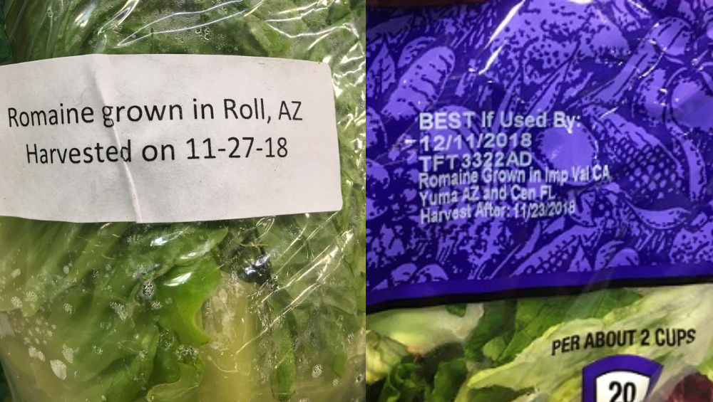 romaine-harvest-region-and-date-labels