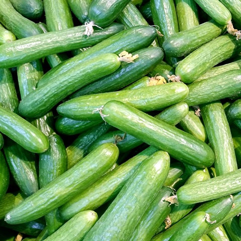 cucumber