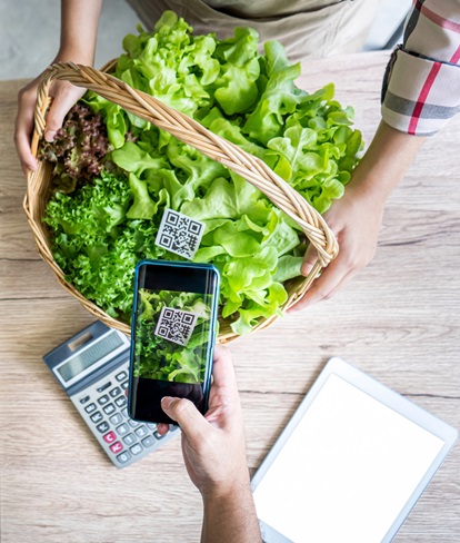 Scanning lettuce by smartphone