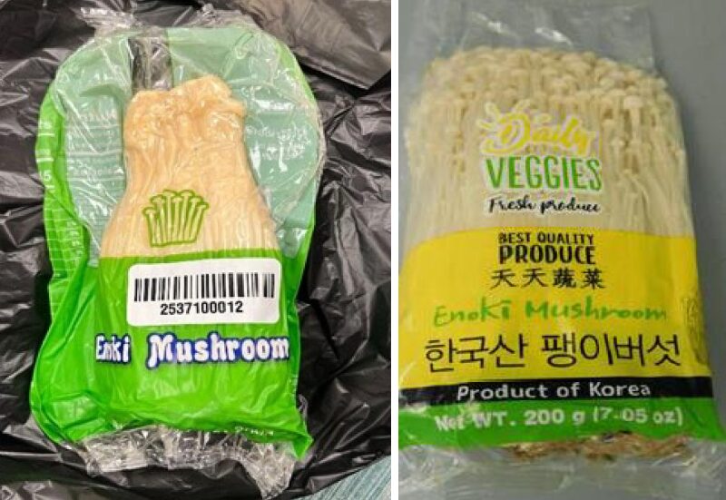 Recalled Enoki