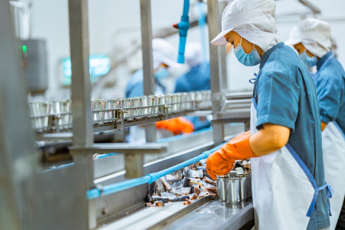 Workers processing fish on an industrial conveyor line in a modern food factory Focus on safety hygiene and efficiency in food manufacturing and packaging operations.
