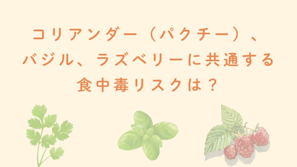 コリアンダー(パクチー)、バジル、ラズベリーに共通する食中毒リスクは? - コピー