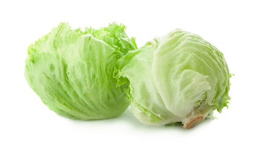 Iceberg lettuce