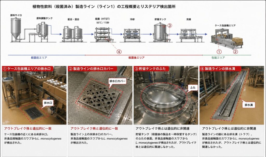 植物性飲料製造ラインの工程概要とリステリア検出箇所