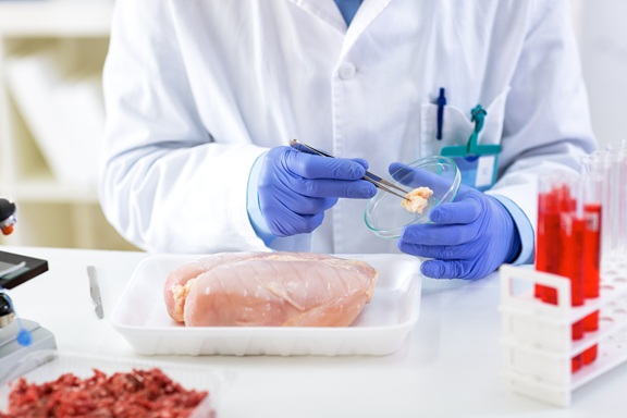chicken testing