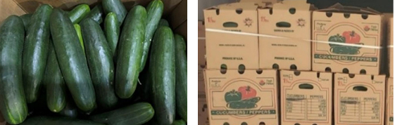 Outbreak Investigation of Salmonella: Cucumbers (June 2024)