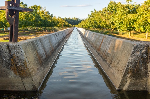 Irrigation Paths: Water Channel Between Fruit Trees Under the Dusk Light.