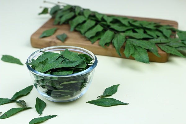 Daun Kari or curry leaves